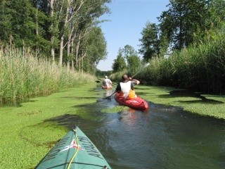 Unterwegs mit Paddelfritz - Abenteuer auf dem Wasser